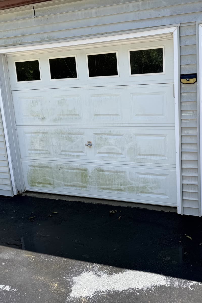 Garage door before washing, filmed green with algae