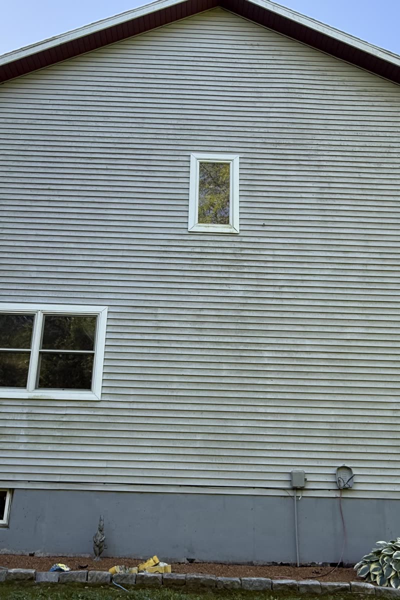 Vinyl siding gable before soft washing, dulled green by algae and grime